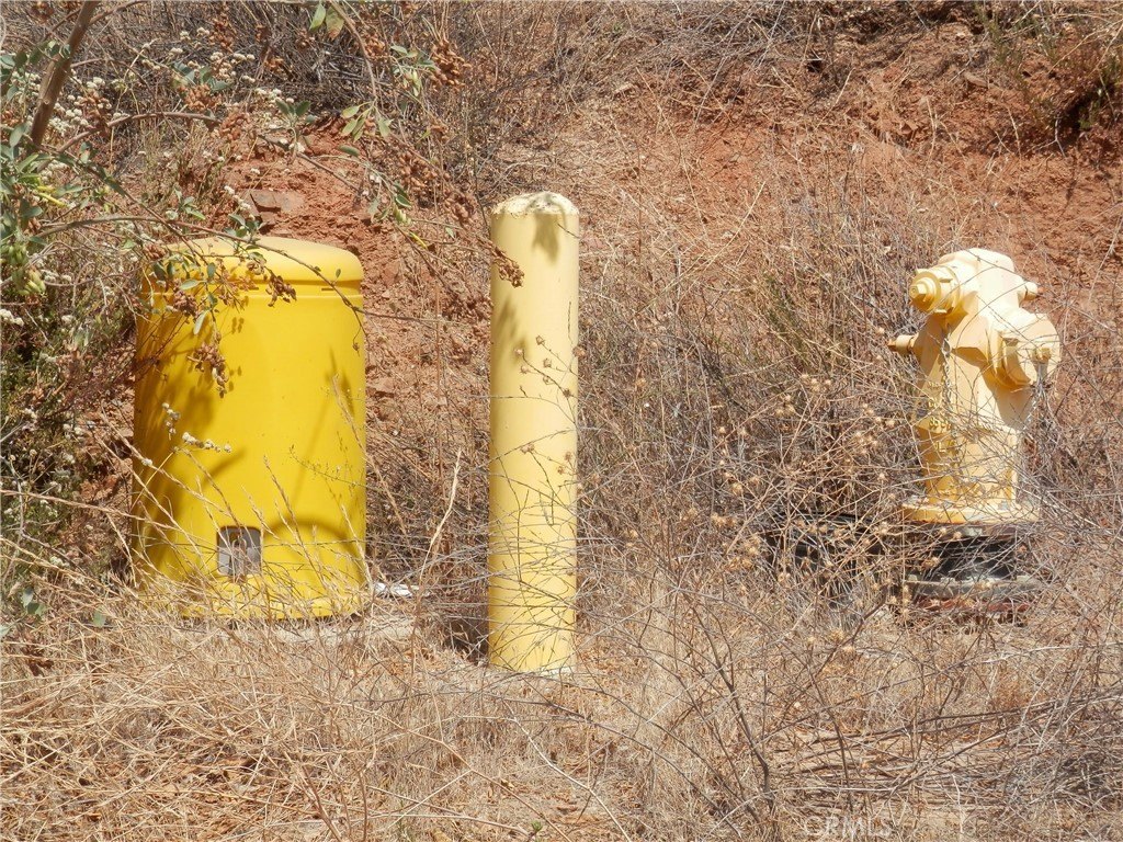 Picture 19