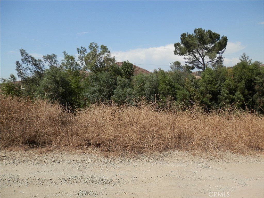 Picture 14