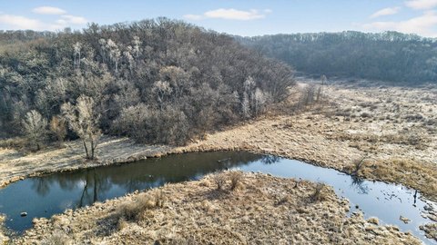 Managed Forest Hunting and Recreation Land