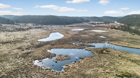 Managed Forest Hunting and Recreation Land