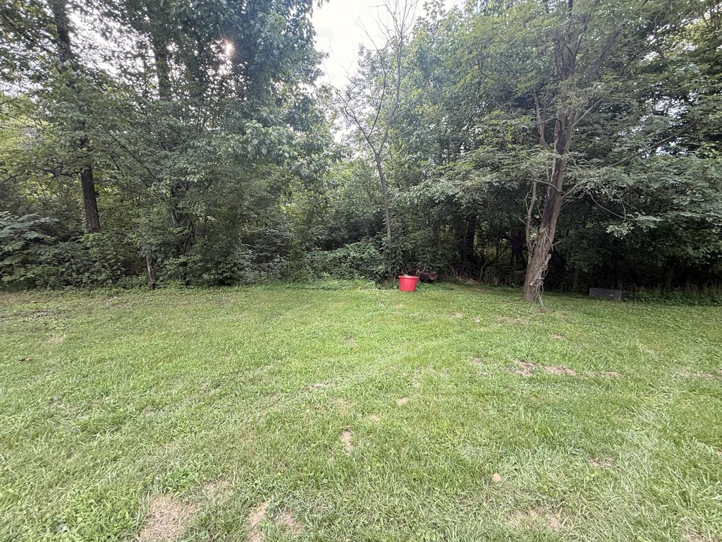 Picture 10