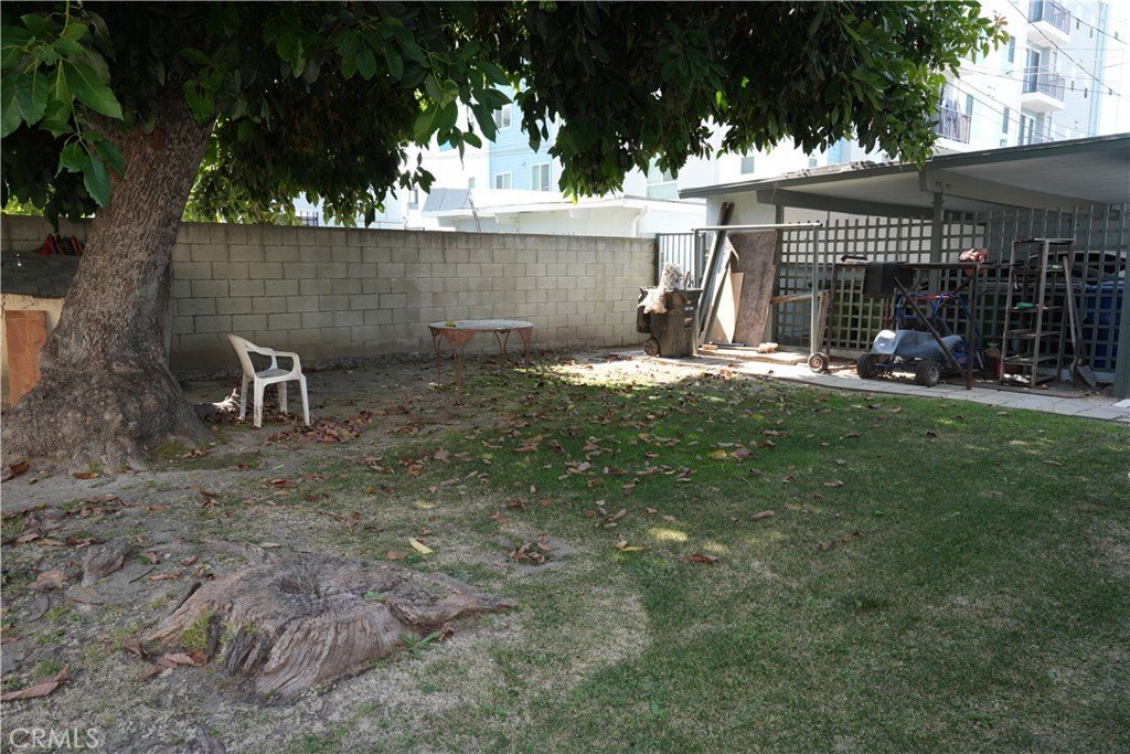 Picture 31