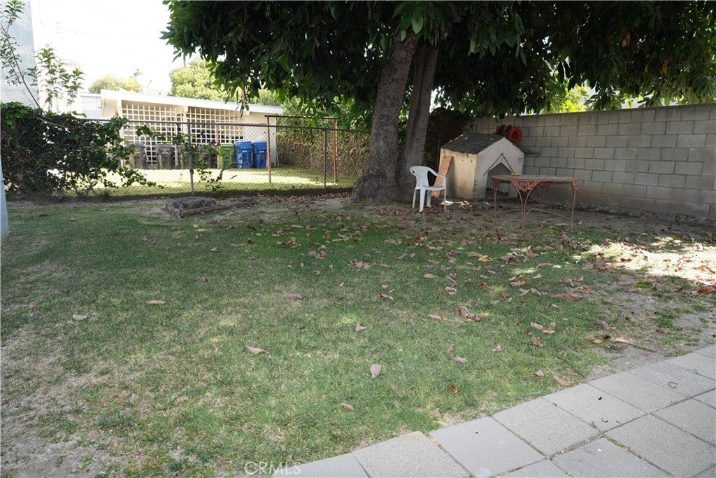 Picture 29