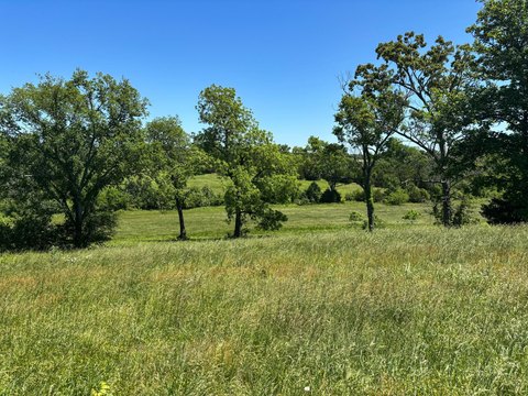 65 Acres of Versatile Land