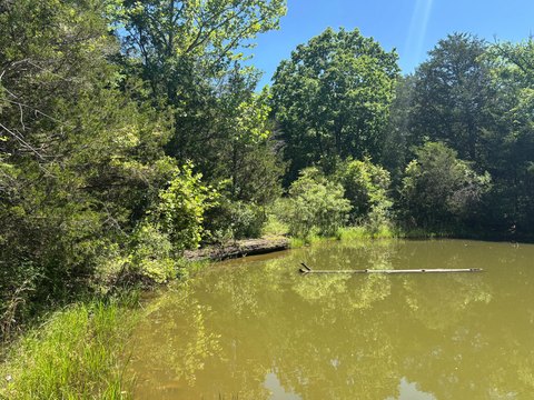 34 Acres of Versatile Land