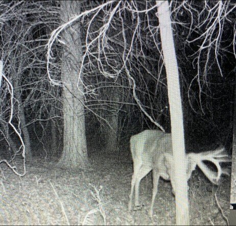 Picture 21
