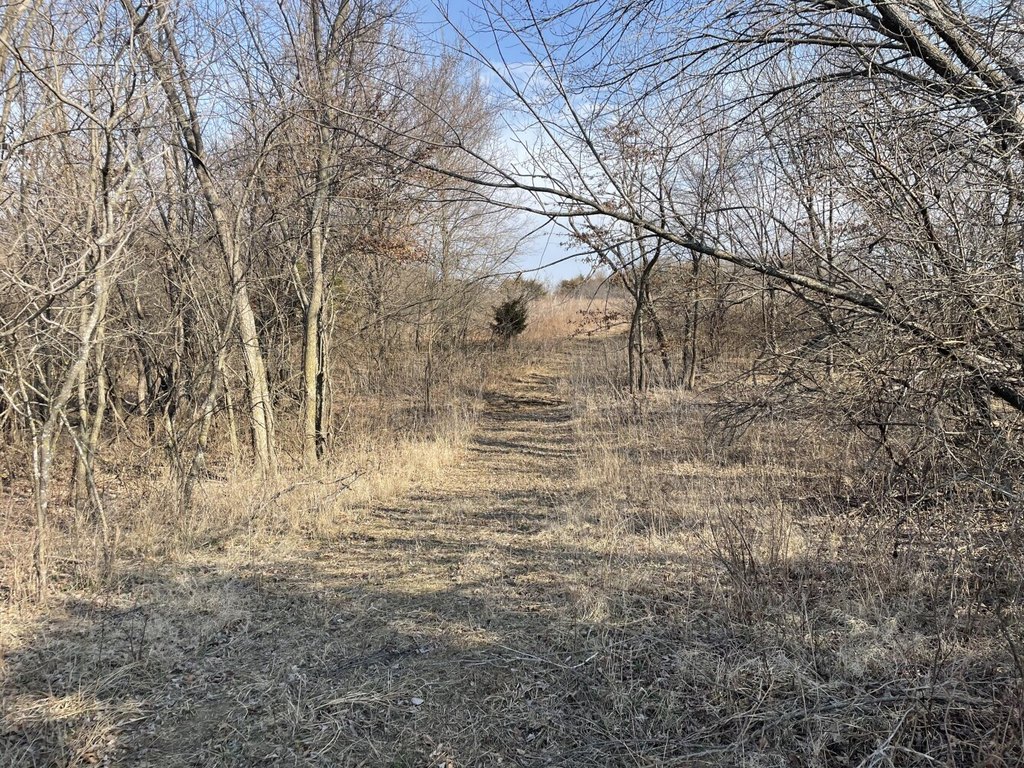 Picture 17