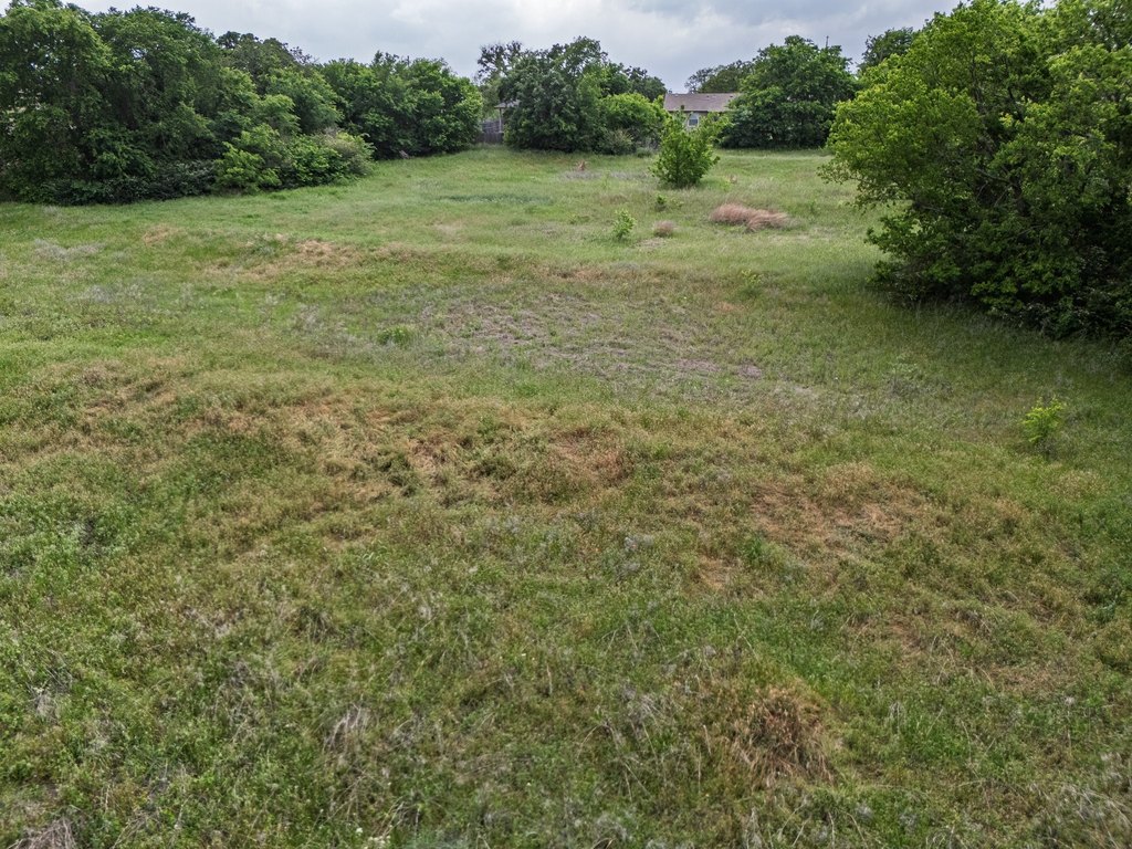 Picture 14