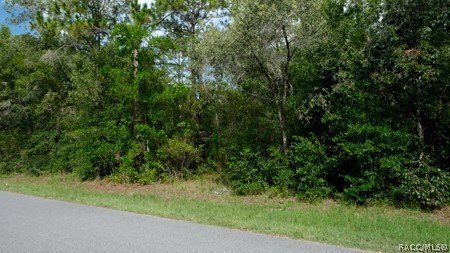 LAND - Citrus Springs, FL