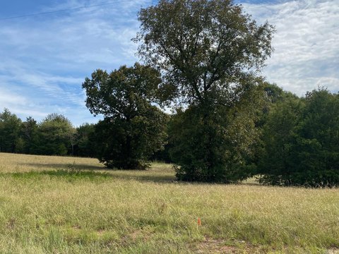 Residential Lot in Castlepines Sub