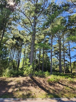 Land, Greenwood, SC