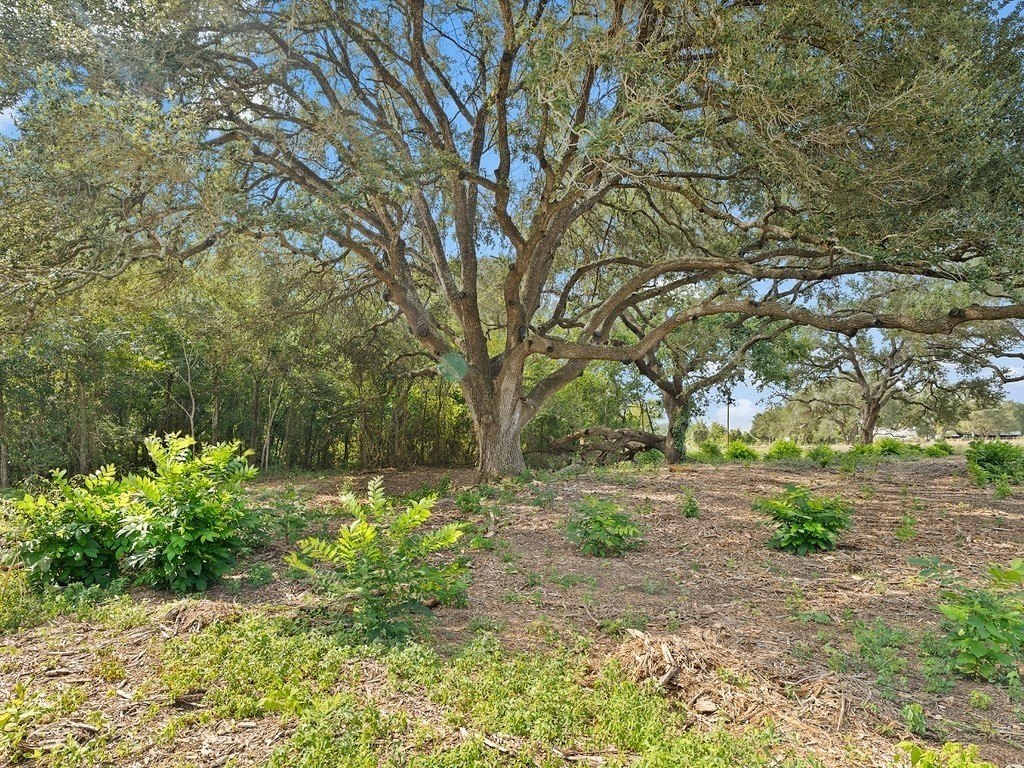 Picture 12