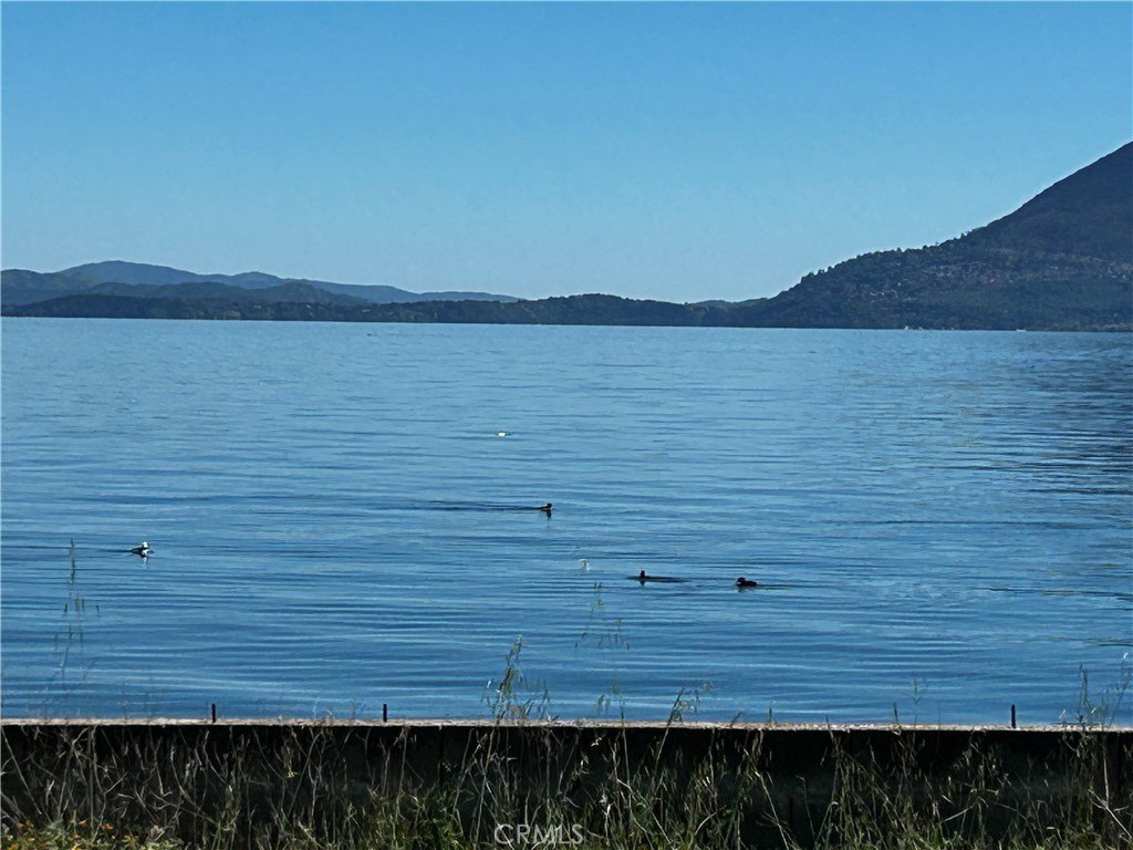 Picture 8