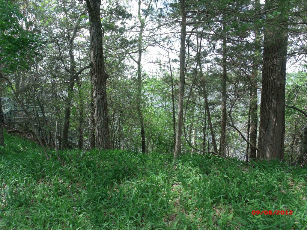 Picture 5