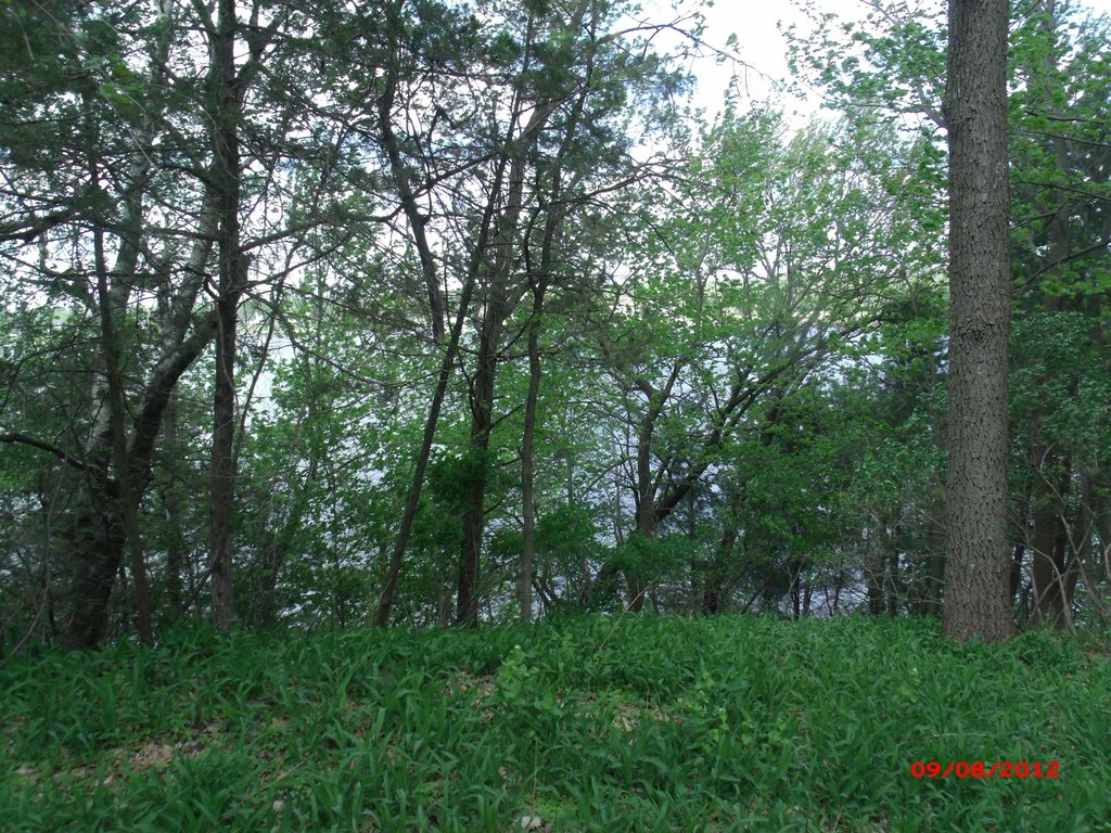 Picture 3