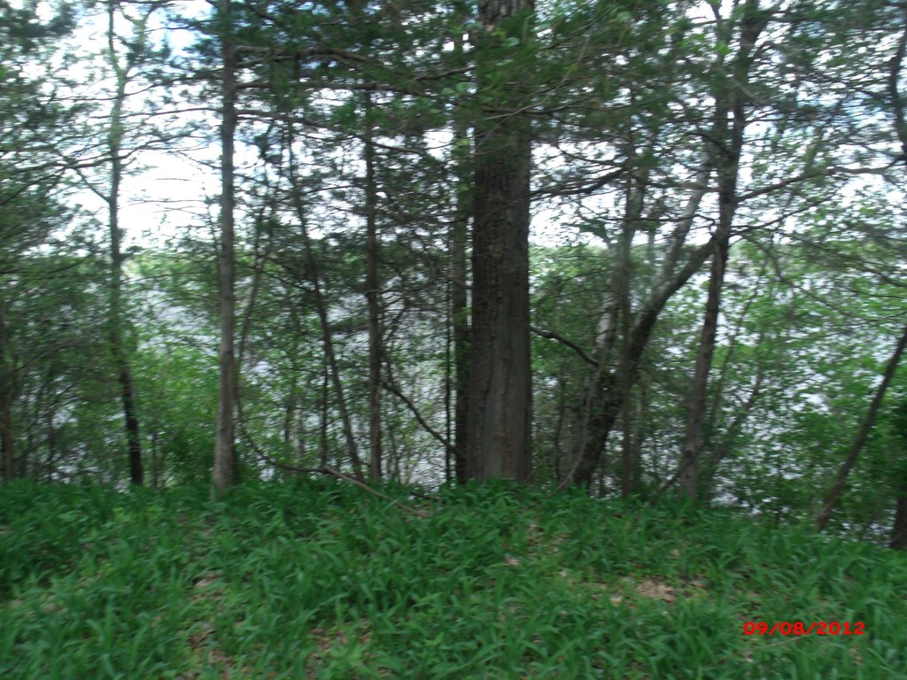 Picture 4