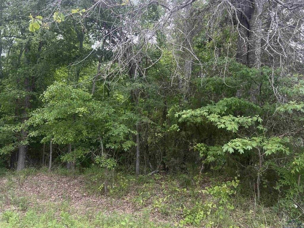 Picture 2