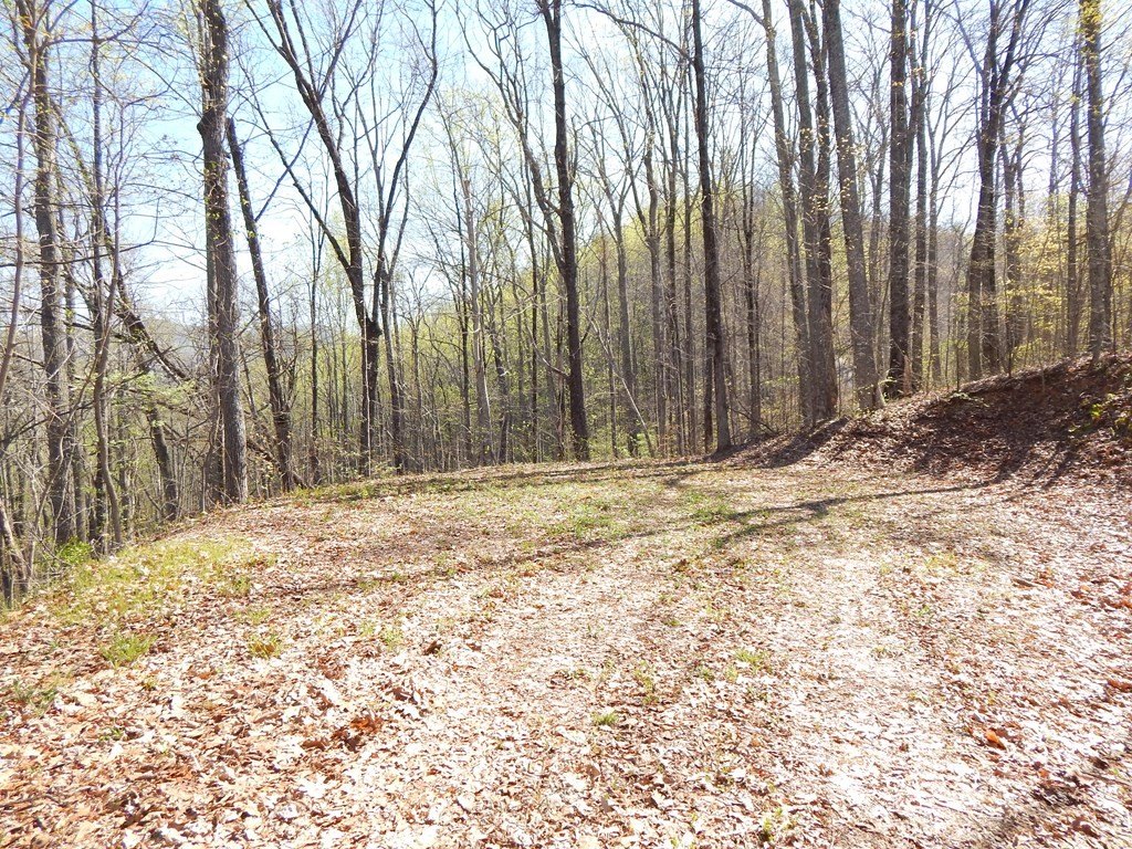 Picture 7
