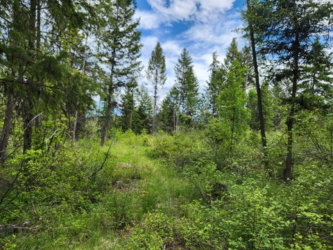 40 Acres Mountain Hideaway