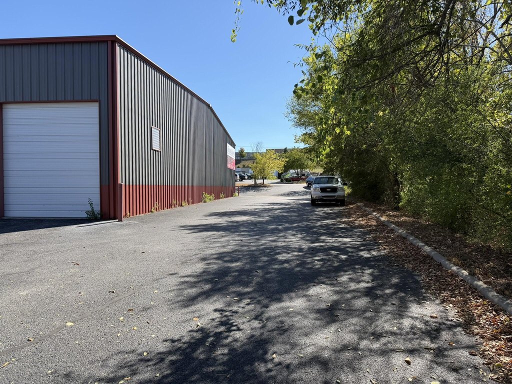 Picture 5