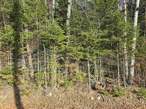 Dummer, NH Land Parcel