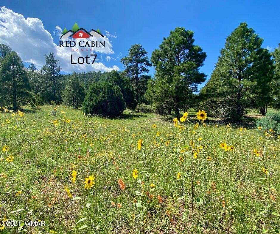 Vernon, AZ Land Parcel