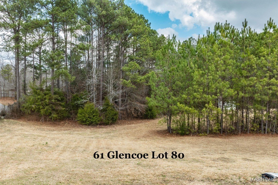 Wooded Lot in The Highlands
