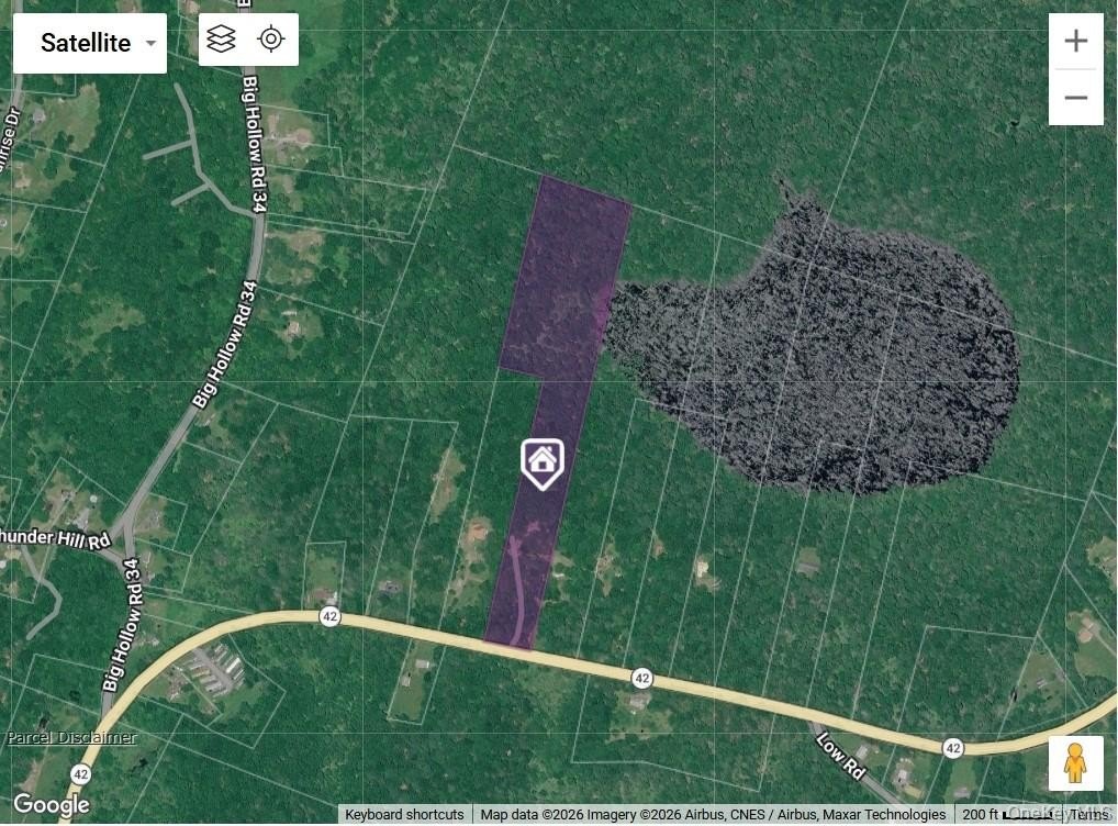 Grahamsville Land with Mobile Home