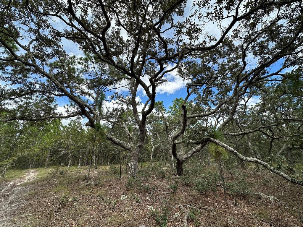 Picture 6