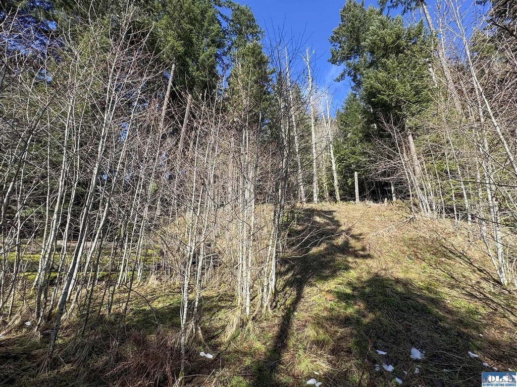 Picture 24