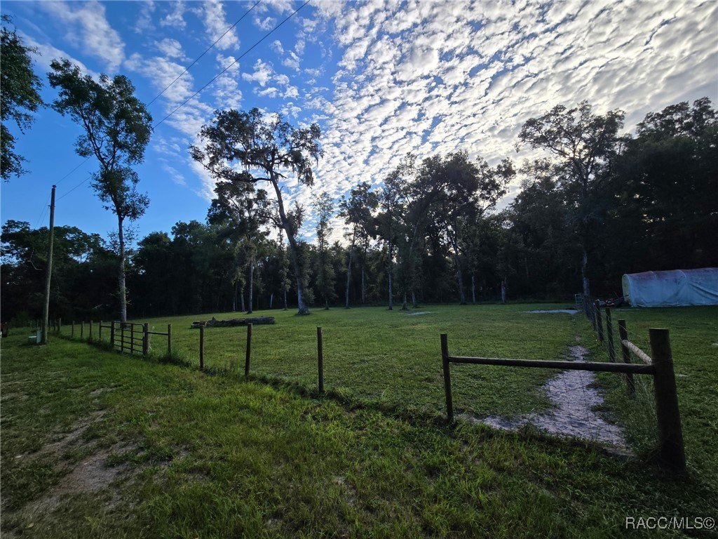 Cleared Land in Inverness, Florida