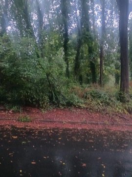 Land, Scottdale, GA