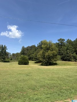 LAND/LOTS, WEDOWEE, AL