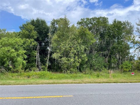 Land, KISSIMMEE, FL