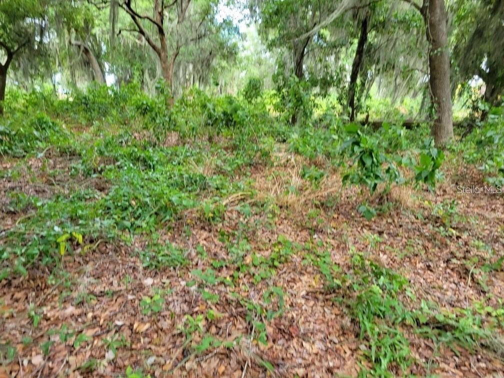 Picture 9