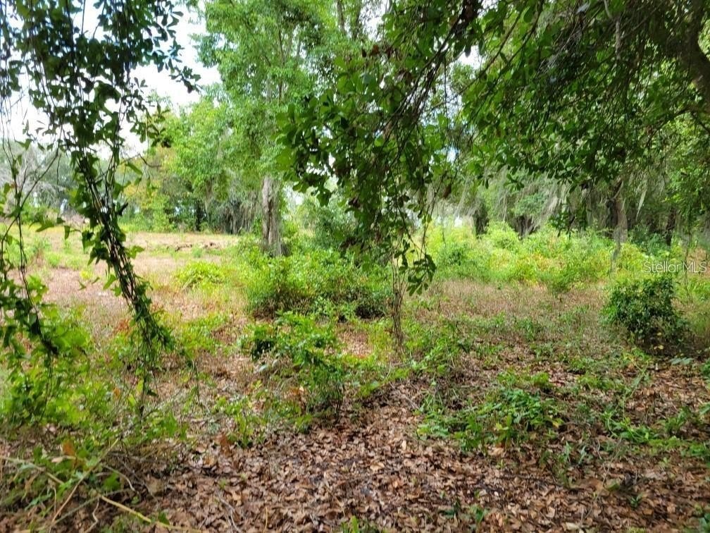 Picture 11