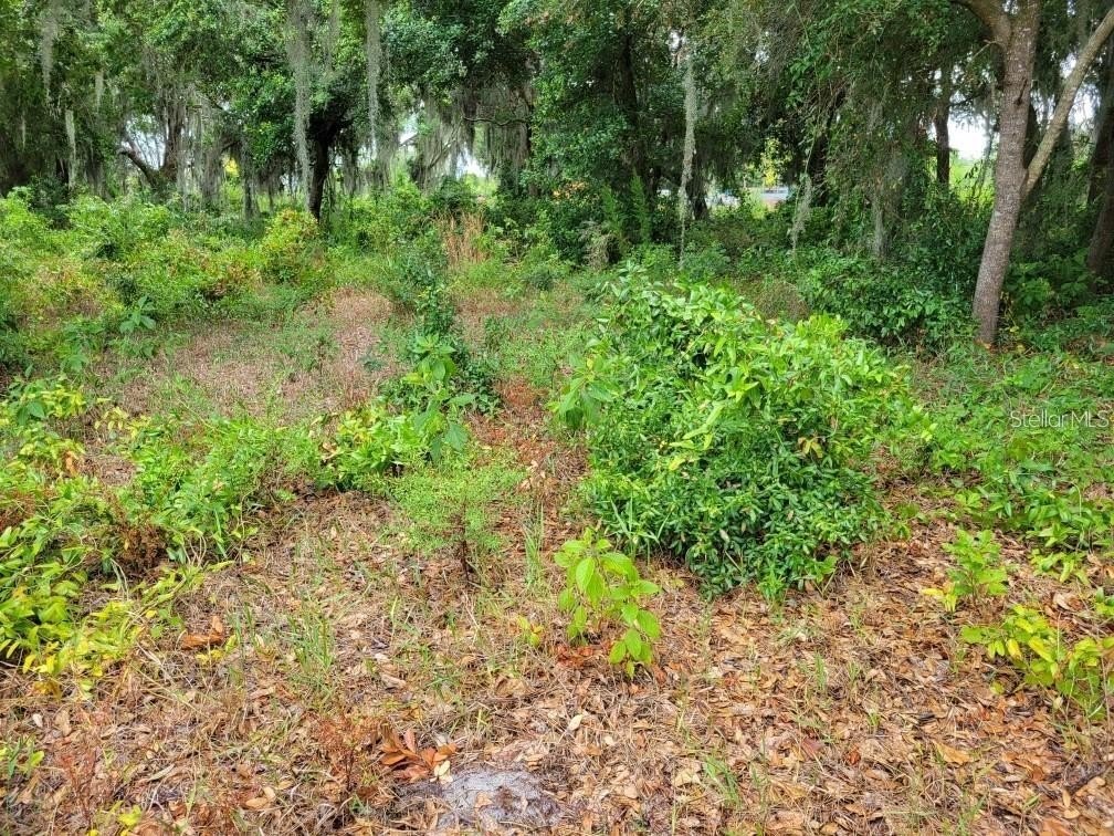 Picture 4