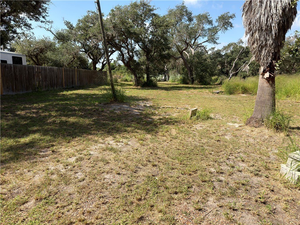 Picture 6