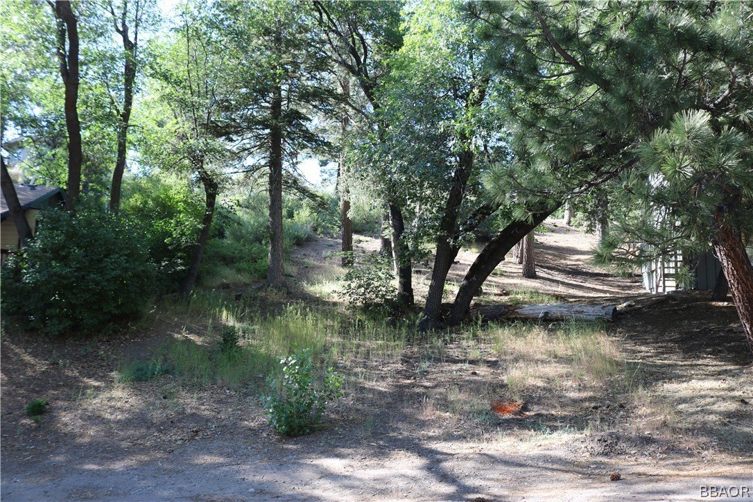 Big Bear Lake Land Opportunity
