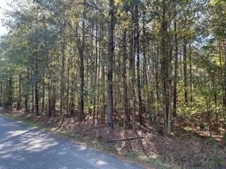 Land, Pineville, LA