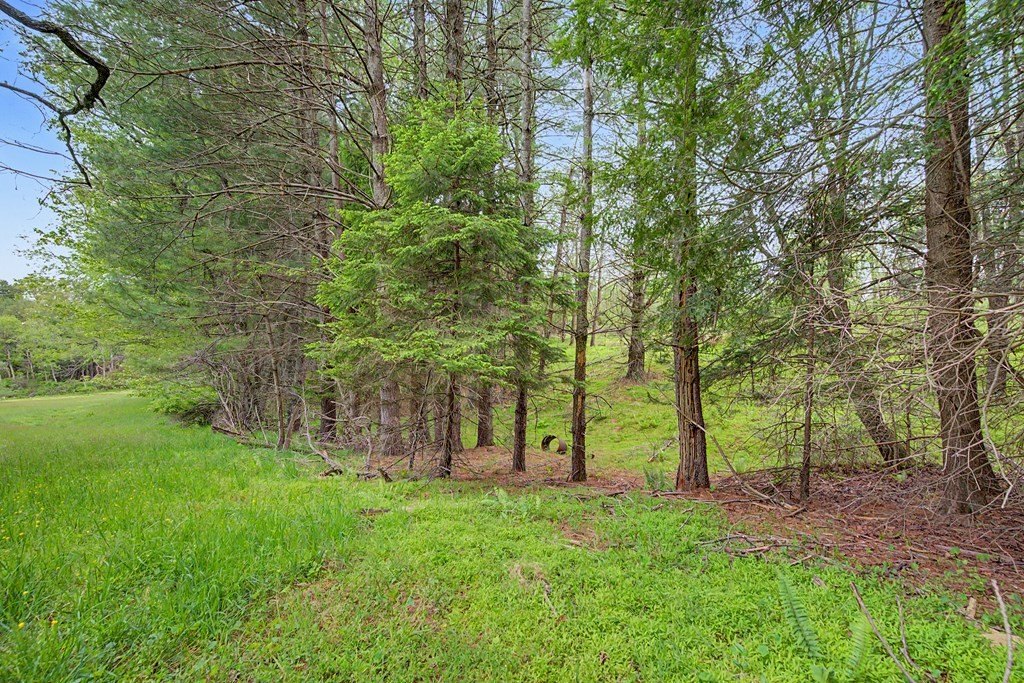 Picture 48