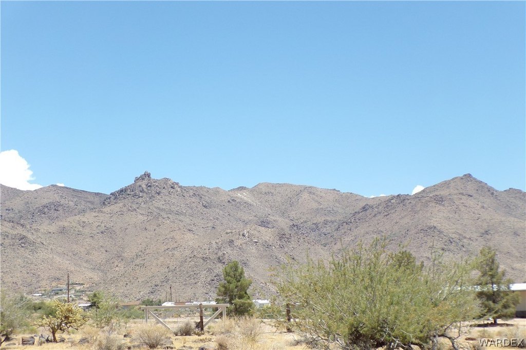 Picture 10