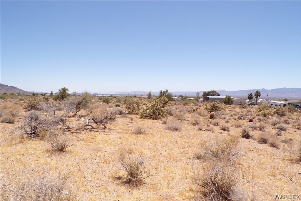 Picture 9