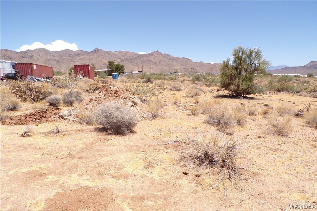 Picture 19