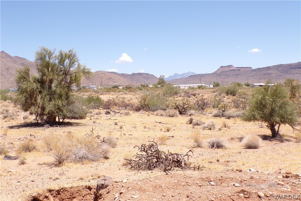 Picture 23