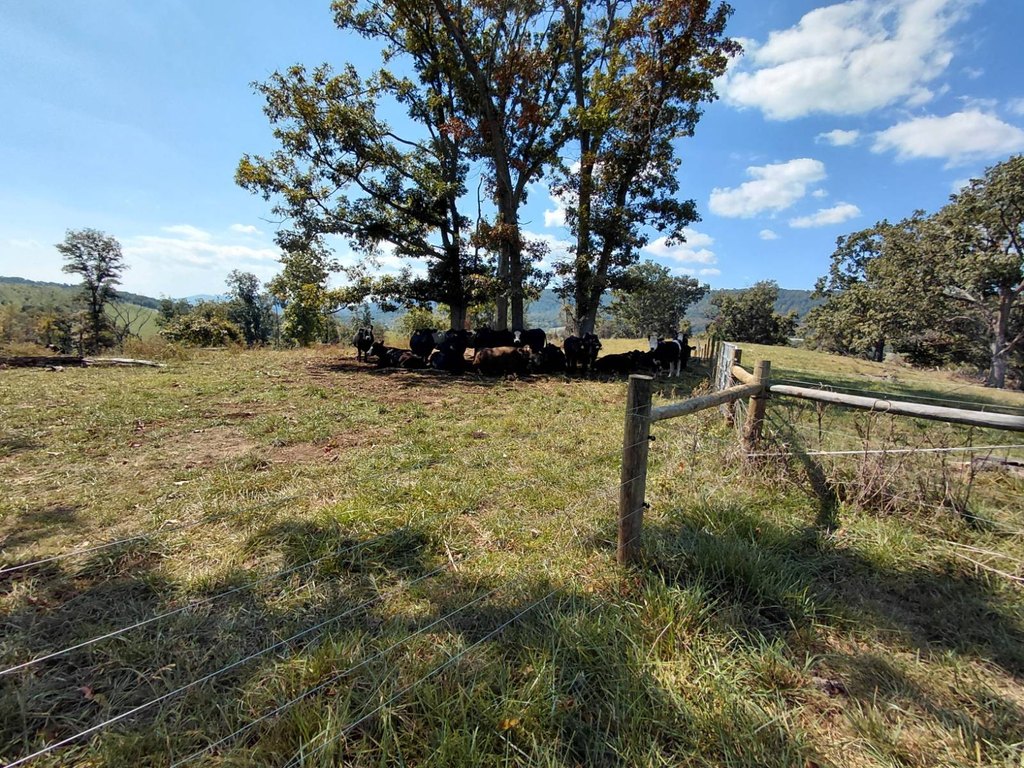 Picture 20