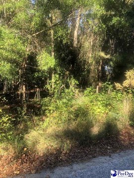 LAND - Florence, SC