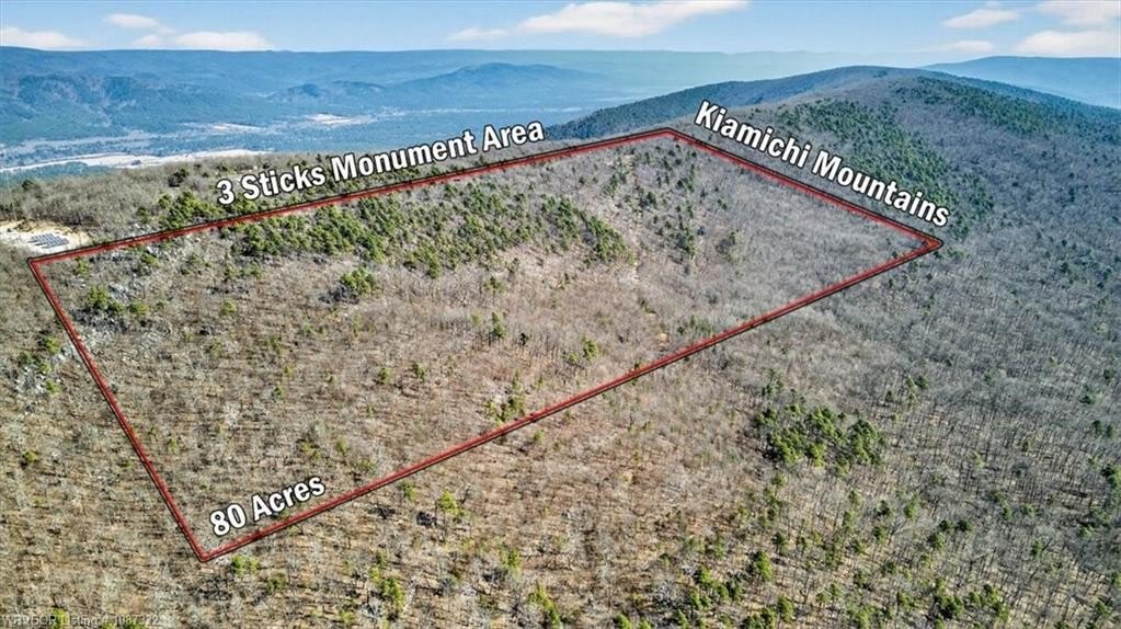 80 Acres Bordering National Forest