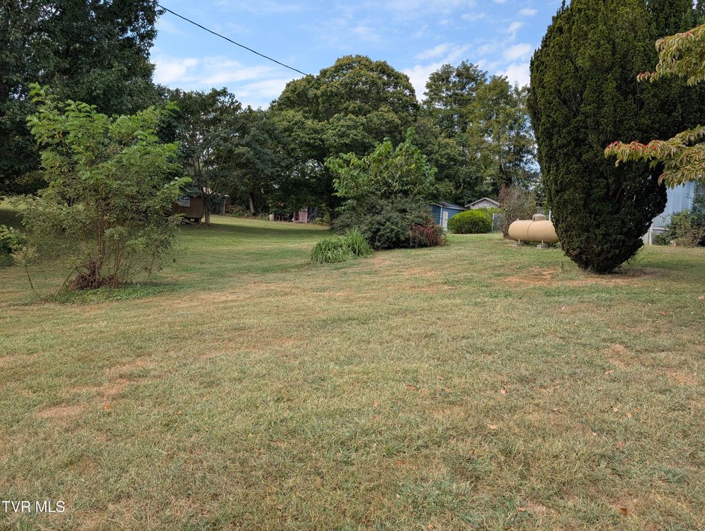 Picture 5
