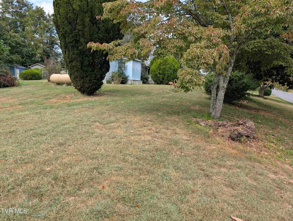 Picture 3